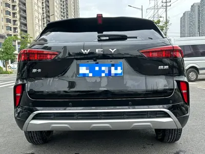 WEY Wey Mocha 2022, 40000 км, за 68800 CNY - фото 22