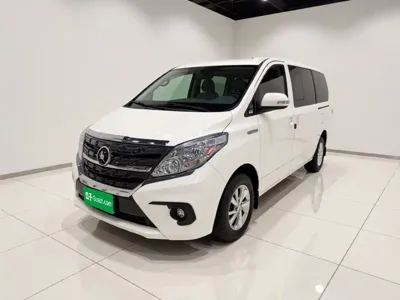 Fengxing Lingzhi PLUS · 2024 год