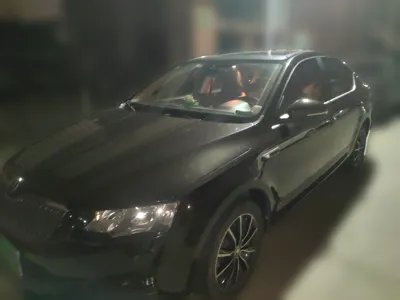 Skoda Octavia · 2017 год