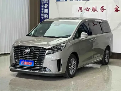 Buick GL8 · 2024 год