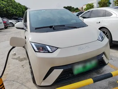BYD Seagull 2025, 21100 км, за 56000 CNY