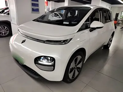 Baojun Yunduo · 2024 год