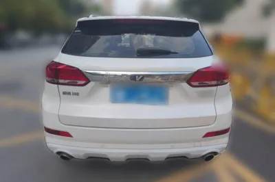 Haval H6 Coupe 2019, 76700 км, за 35630.33 CNY - фото 5