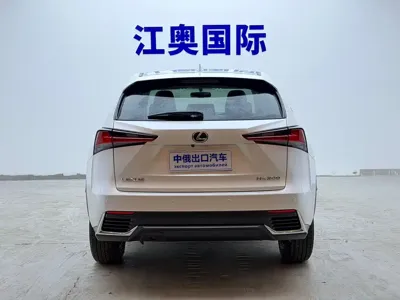 Lexus NX 2021, 48000 км, за 157800 CNY - фото 21