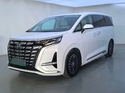 Denza Denza D9 · 2024 год