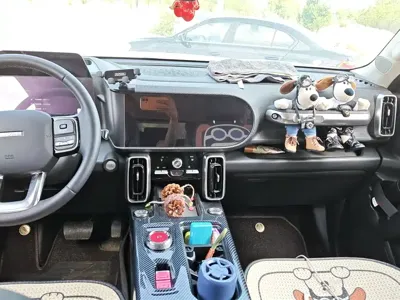 Haval Big Dog 2022, 29400 км, за 71000 CNY - фото 13