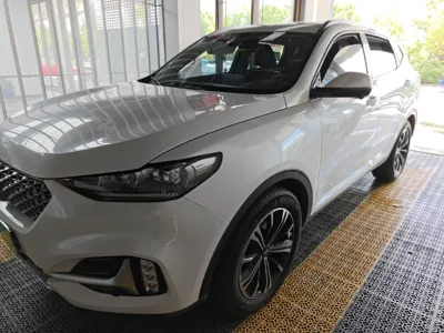 WEY VV6 · 2021 год