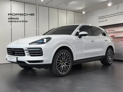 Porsche Cayenne · 2023 год
