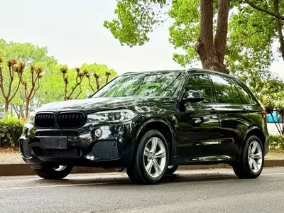 BMW X5 (Import) · 2017 год