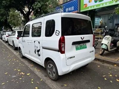 Wuling Zhiguang EV 2025, 10000 км, за 48800 CNY