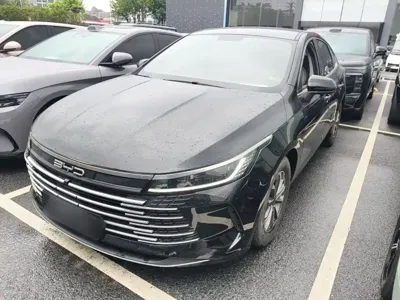 BYD Destroyer 05 · 2024 год