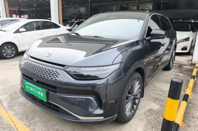 Leapmotor C11 · 2024 год