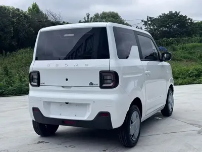 Galaxy Panda 2023, 40000 км, за 28000 CNY - фото 4