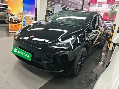 Tesla Model Y · 2023 год