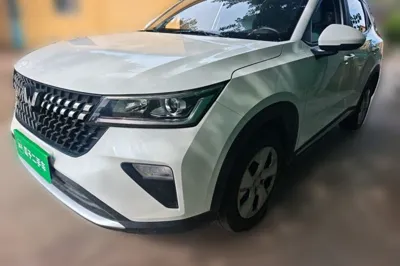 Wuling Alvez · 2022 год