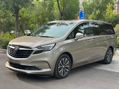 Buick GL8 · 2022 год