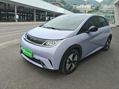 BYD Dolphin · 2024 год