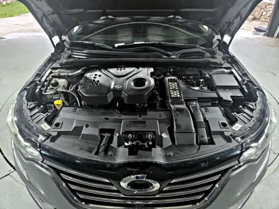 Renault-KoreaSamsung SM6 2019, 155147 км, за 5750000 KRW - фото 20