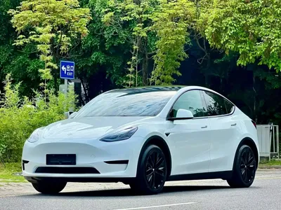 Tesla Model Y 2023, 52000 км, за 179800 CNY - фото 1