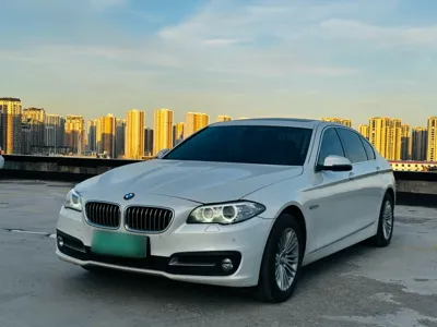 BMW 5 Series · 2014 год