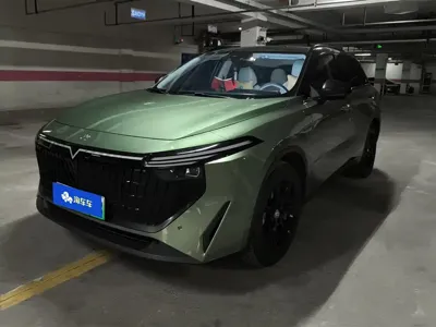 Venucia V DD-i · 2024 год