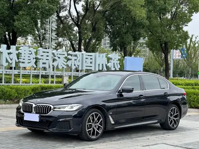 BMW 5 Series · 2021 год