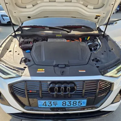 Audi e-tron 2021, 99800 км, за 41000000 KRW - фото 20