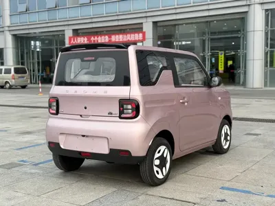 Galaxy Panda 2026, 100 км, за 36800 CNY - фото 10