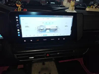 Haval Cool Dog 2023, 24400 км, за 76800 CNY - фото 6