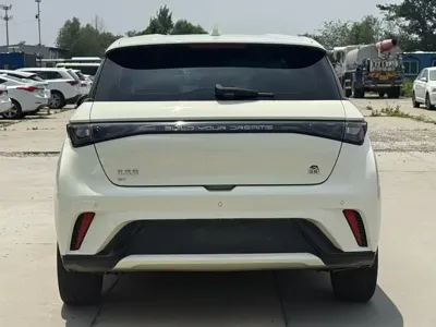 BYD Dolphin 2023, 25000 км, за 58800 CNY - фото 8
