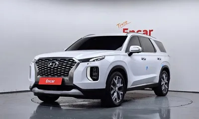 Hyundai Palisade · 2019 год
