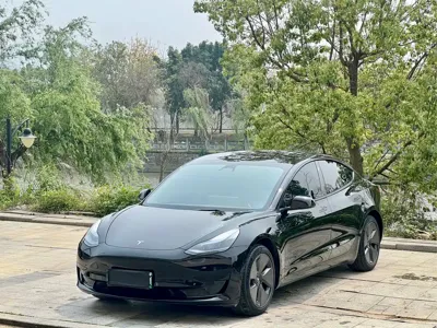 Tesla Model 3 · 2023 год