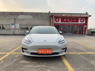 Tesla Model 3 2019, 96000 км, за 89800 CNY