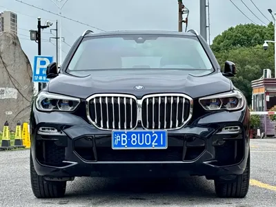 BMW X5 (Import) · 2022 год