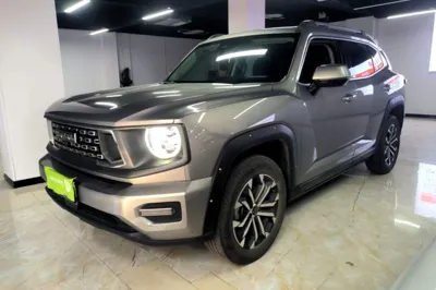 Haval H Dog · 2023 год