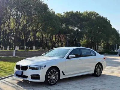 BMW 5 Series · 2019 год