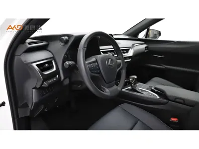 Lexus UX 2019, 46000 км, за 98000 CNY - фото 6