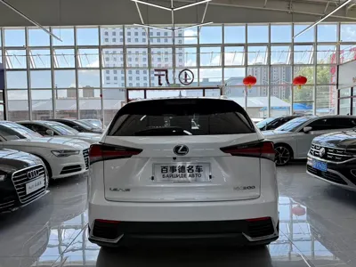Lexus NX 2021, 52000 км, за 205500 CNY - фото 8