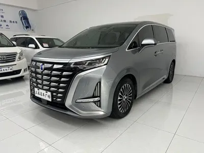 Denza Denza D9 · 2023 год