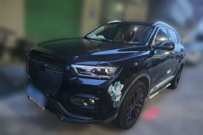 Haval H6 · 2020 год