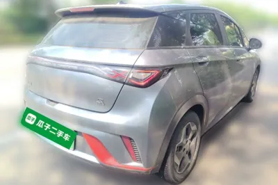 BYD Dolphin 2021, 56300 км, за 67531.03 CNY