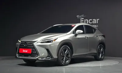 Lexus NX · 2023 год