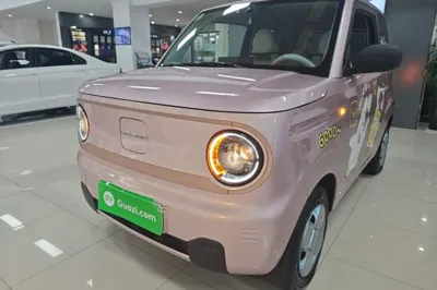Geely Galaxy Panda · 2024 год