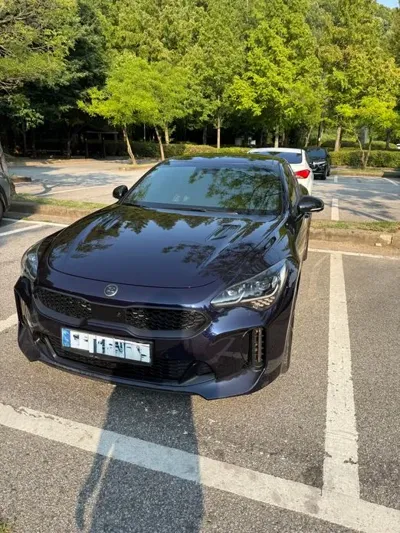 Kia Stinger · 2020 год