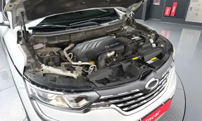 Renault-KoreaSamsung QM6 2019, 266324 км, за 8880000 KRW - фото 6