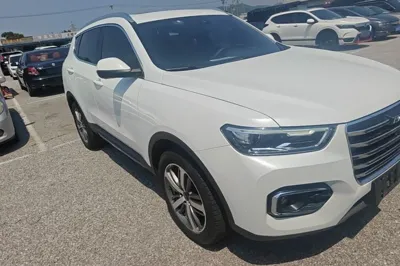 Haval H6 2019, 44500 км, за 55338.87 CNY