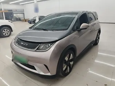 BYD Dolphin 2022, 50400 км, за 58700 CNY