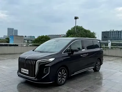 Hongqi Hongqi HQ9 · 2022 год
