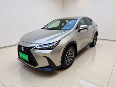 Lexus NX New Energy · 2024 год