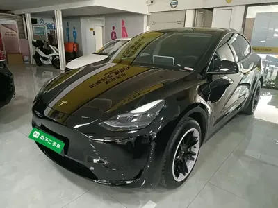 Tesla Model Y · 2023 год